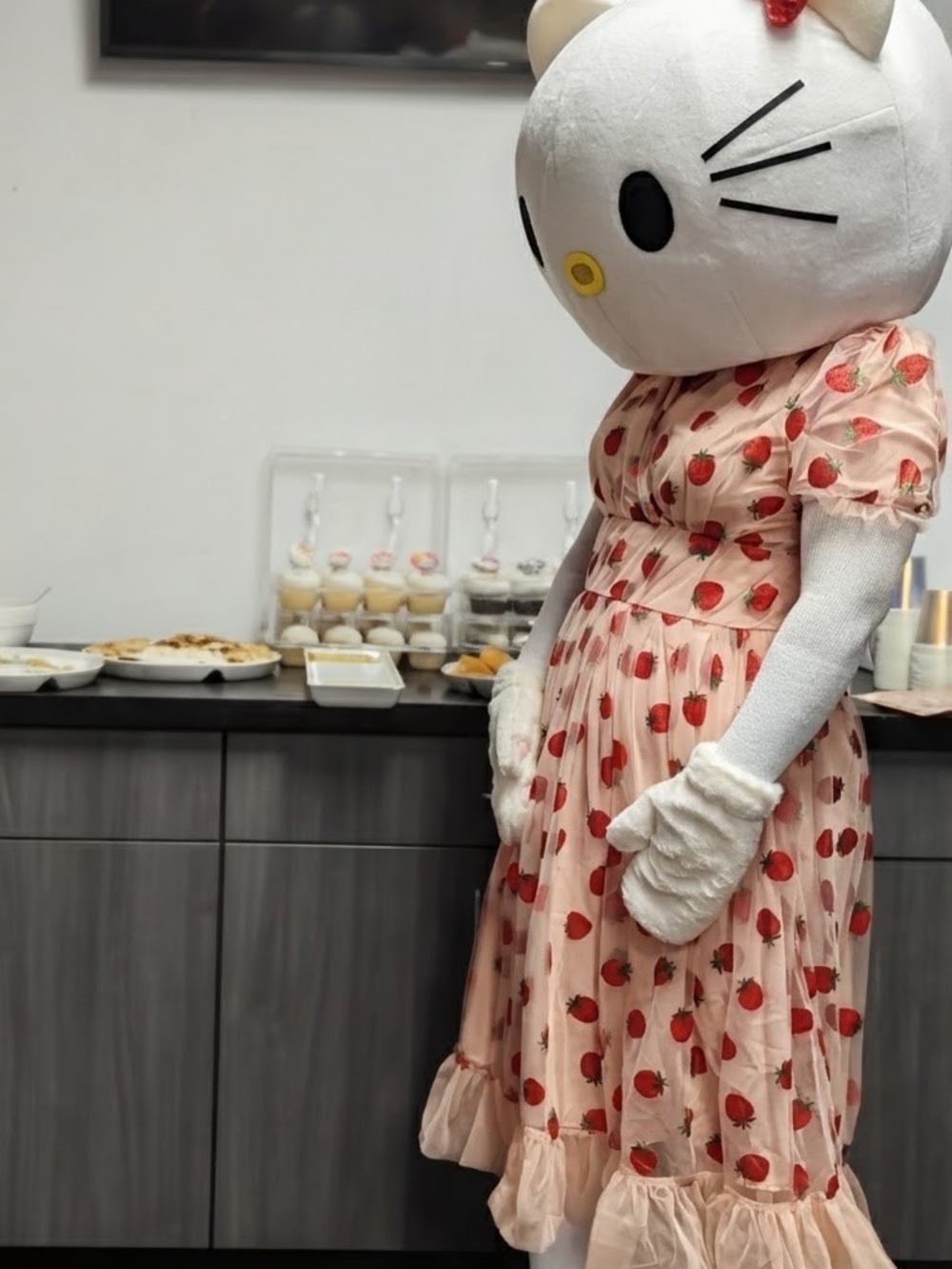 HELLO KITTY MASCOT COSTUME